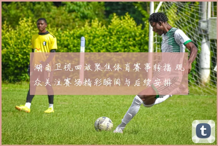 湖南卫视回放聚焦体育赛事转播 观众关注赛场精彩瞬间与后续安排